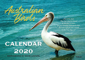 Australian Birds Calendar 2020