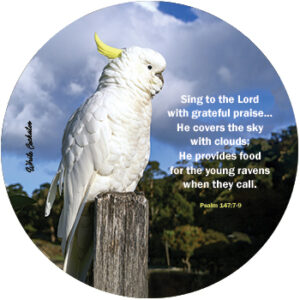 Cockatoo Round Mouse Mat