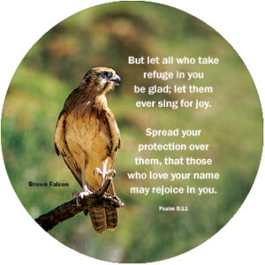 Falcon Round Mouse Mat