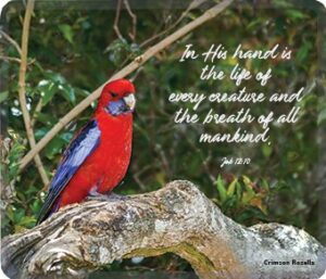 Rosella Rectangle Mouse Mat