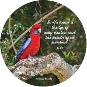 Rosella Round Mouse Mat